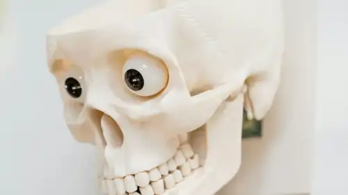 Як мозок діє насправді: посібник користувача