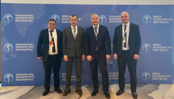 Україна буде постачати яловичину до Грузії