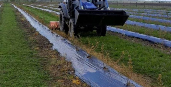 Від деталей до ягід: підприємство з Волині кардинально змінило сферу діяльності — КУРКУЛЬ