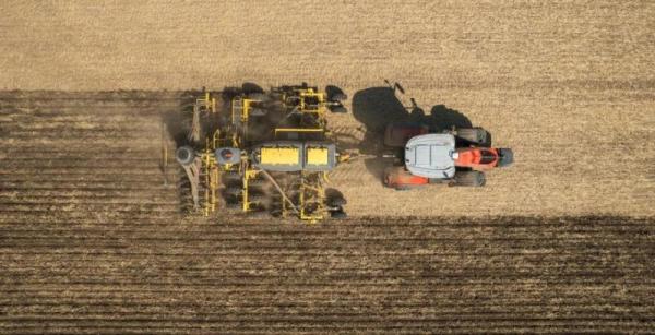 Вплив різноманітних методів обробітку ґрунту на кореневу систему ріпаку: практичні дослідження — КУРКУЛЬ