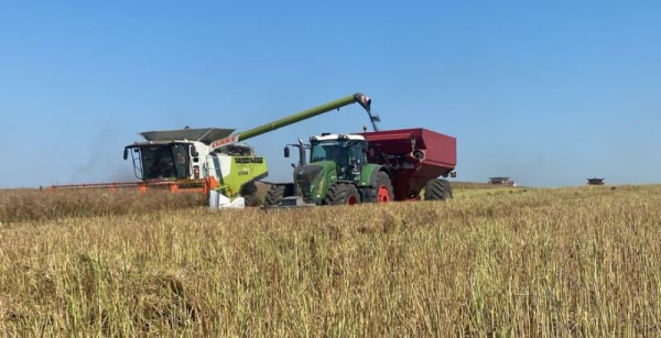 Нові правила вивезення соєвих бобів та ріпаку не приносять користі кооперативам, заявляють сільгоспвиробники — КУРКУЛЬ