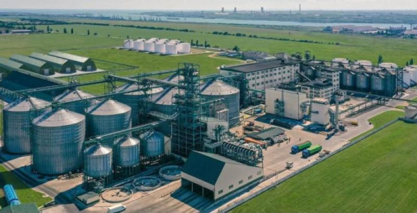 Allseeds, один з провідних виробників олії, тимчасово припиняє свою діяльність в Україні — КУРКУЛЬ