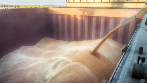 Аграрії намолотили майже 10,6 млн тонн зернових та зернобобових культур нового врожаю з 22% площ