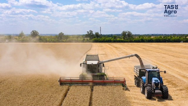 “ТАС Агро” завершила збір ранніх зернових та олійних культур на 33,5 тисячах гектарів.