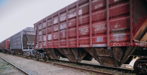 492 вагони за 10 днів: Укрзалізниця встановлює новий рекорд експорту зерна до Румунії — КУРКУЛЬ