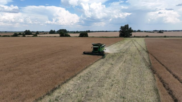 Аграрні компанії збільшили оплату праці на 10-20%, проте нестача працівників зростає, – Agrohub
