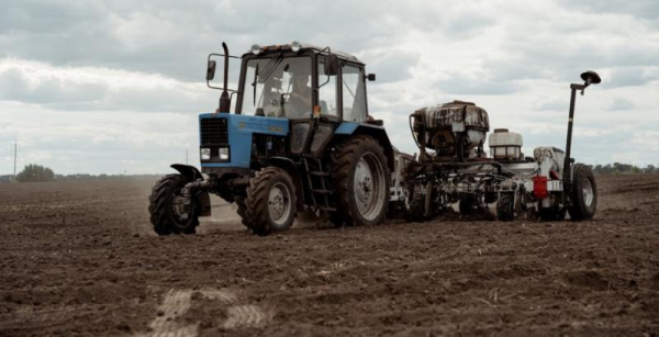 Високі витрати на доставку змусять фермерів зменшити посів озимої пшениці — Висоцький — КУРКУЛЬ