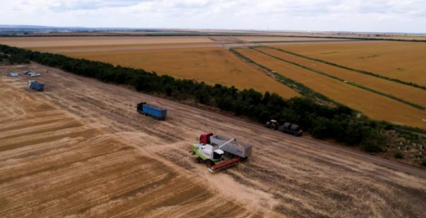 Від 5,5 до 8 тонни з гектара — котрі області продемонстрували найвищі показники — КУРКУЛЬ