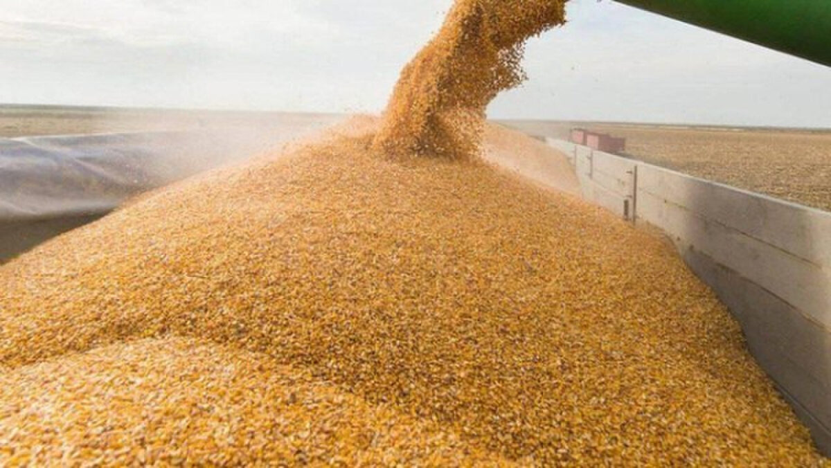 Експорт агропродукції з України 1-13 серпня скоротився на 57% порівняно з аналогічним періодом липня – Spike Brokers