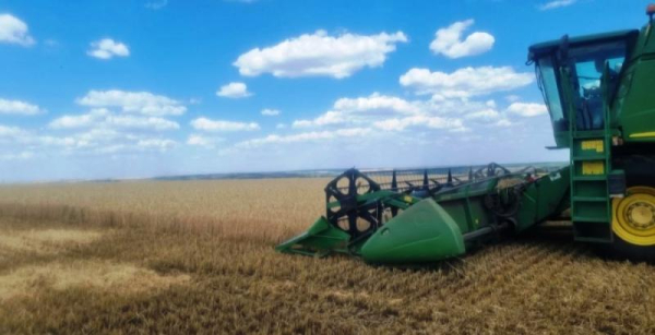 На Донеччині, незважаючи на обстріли, зібрано 60% ранніх зернових культур — КУРКУЛЬ