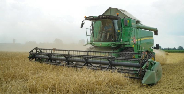 Зібрано 4,4 мільйона тонн ячменю в Україні: три області вже закінчили збір врожаю — КУРКУЛЬ
