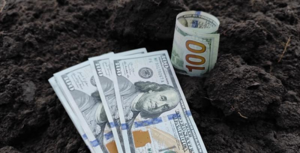 НБУ збільшив ставку врахування зерна в заставу із 40% до 75% — КУРКУЛЬ