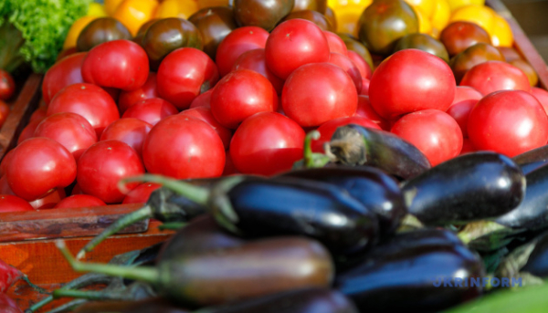 Україна збільшила імпорт сільськогосподарської продукції на 8% – ІАЕ