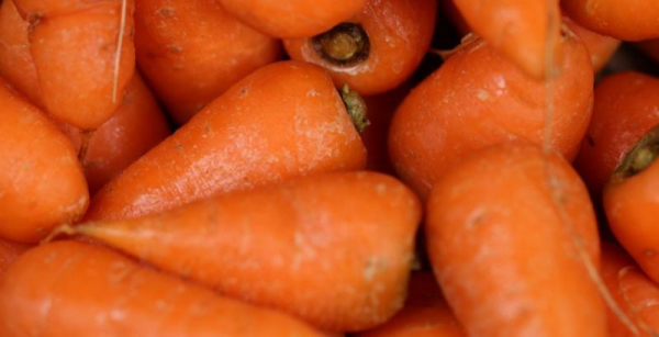 Морква в Україні дешевша на 10% через надлишок постачання — КУРКУЛЬ