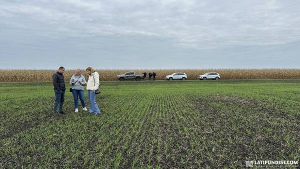 АгроЕкспедиція-2025: Захід і північ України під дощами, але з рекордними врожаями соняшника та буряків