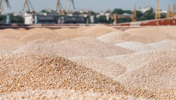 Агроекспорт з України скоротився на майже 50% через російські удари по портах - експерт