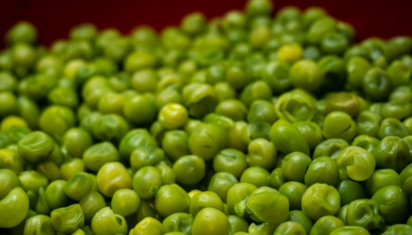 Китай відкрив свій ринок для українського гороху