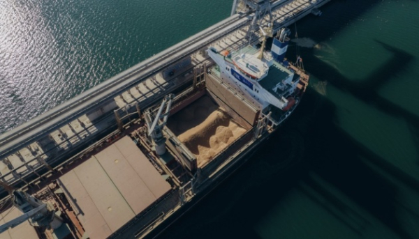 Україна з початку маркетингового року експортувала понад 25,6 мільйона тонн зерна